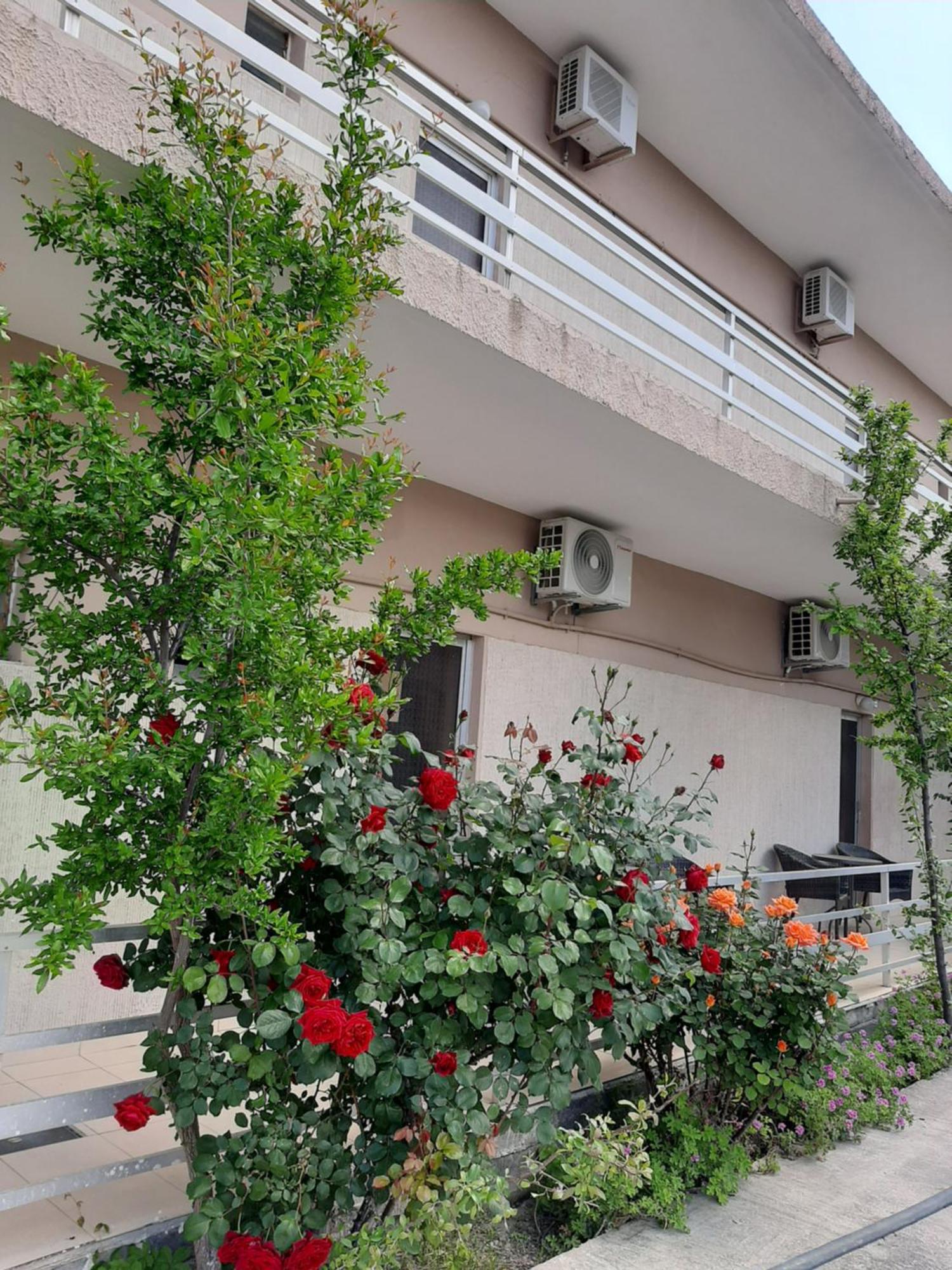 Studios Mona Agios Georgios  Exterior foto